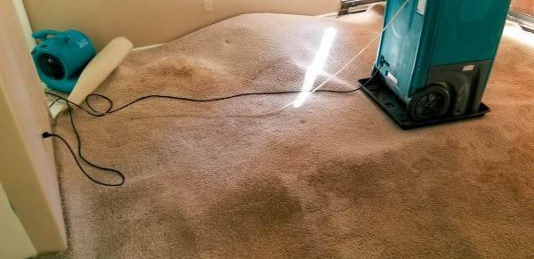 Carpet Water Extraction in Downers Grove